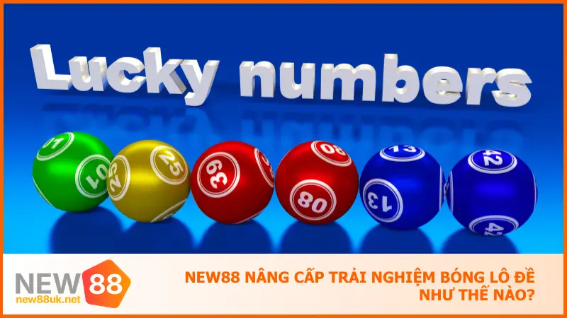 New88 nâng cấp trải nghiệm bóng lô đề như thế nào?
