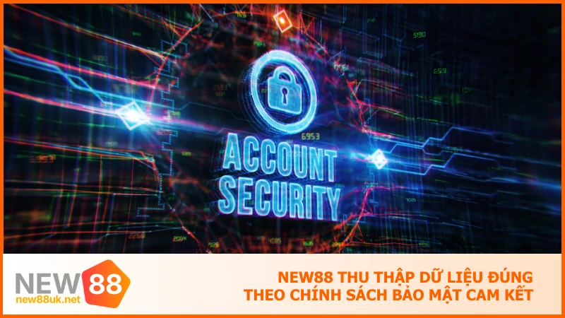 NEW88 thu thập dữ liệu đúng theo chính sách bảo mật cam kết